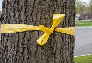 Przywieś w ogrodzie. Wiosną sobie podziękujesz