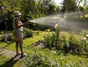 Sypią się mandaty dla działkowiczów. Nawet 1500 zł