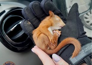 Zdjęcia z Łodzi poruszyły internautów. Trzymają kciuki