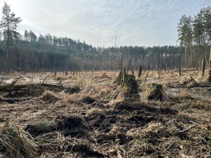 Światowy Dzień Wody powinien być codziennie