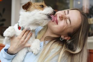 Pies liże twoją twarz? To nie zawsze oznaka sympatii