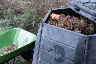 Pod żadnym pozorem nie wrzucaj do kompostownika. „Czarne złoto” zmarnieje