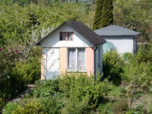 Masz „abisynkę” na działce? Grozi ci wysoka grzywna lub areszt