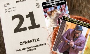 Najlepsze memy o wiośnie. Przywitaj ją w dobrym nastroju