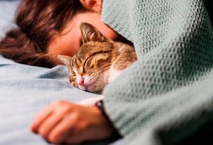 Kot budzi cię z samego rana? Może mieć ku temu kilka ważnych powodów