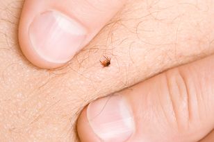 Wystarczy raz na trzy lata. Ochronisz się przed