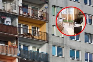 Mikrokawalerka w centrum Warszawy. Przestrzeń zaskoczyła internautów