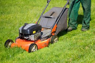Kosisz trawę w maju? Musisz wiedzieć, jaki to błąd