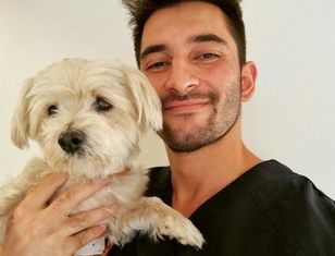 Po spacerze od razu zdejmuj psu obrożę. Weterynarz tłumaczy, dlaczego