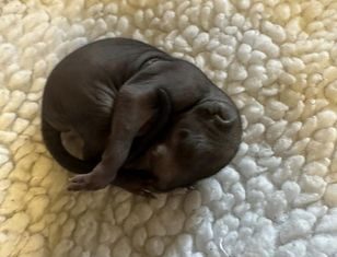 Leżał na środku chodnika. Przechodnie chcieli go dobić