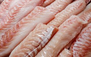 Tilapia nie taka zdrowa, jak myślano? Zawiera niekorzystną