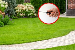 Weź śrubokręt i wbij w ziemię. Test uratuje twój trawnik