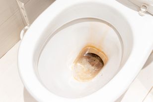 Wrzuć do ubikacji. Wyżre cały brud w pięć minut