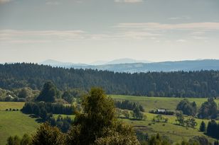 Jedno z najdzikszych miejsc w Polsce. Nazywają je