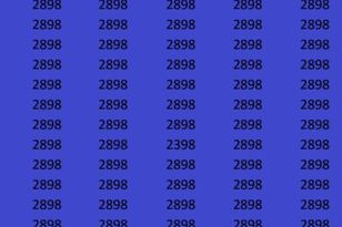 Znajdź liczbę 2398. Tylko geniusz zrobi to w mniej niż 20 sekund