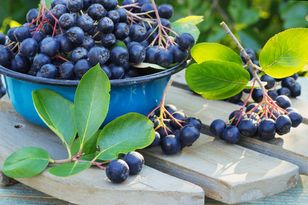 Zapomniany, polski „superfood”. Chroni serce i spowalnia starzenie