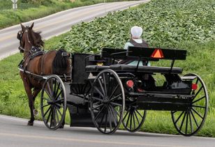 W wiosce amiszów spotkała feministki. Nie ukrywała, jak mężczyźni traktują tam kobiety