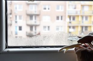 Królowa Czystości ujawnia prosty trik. Sposób na zaparowane okna