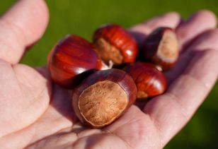 Dodaj do pralki i nastaw pranie. W mig pozbędziesz się brudnych ubrań