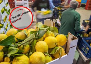 Niebezpieczna substancja na cytrynach. Ekspert mówi, co zrobić