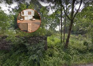 Wyciął drzewa na własnej działce, wysokość opłaty poraża.