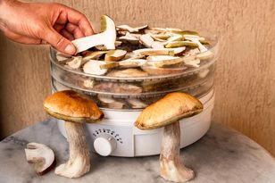 Czy warto zainwestować w suszarkę do owoców i grzybów?