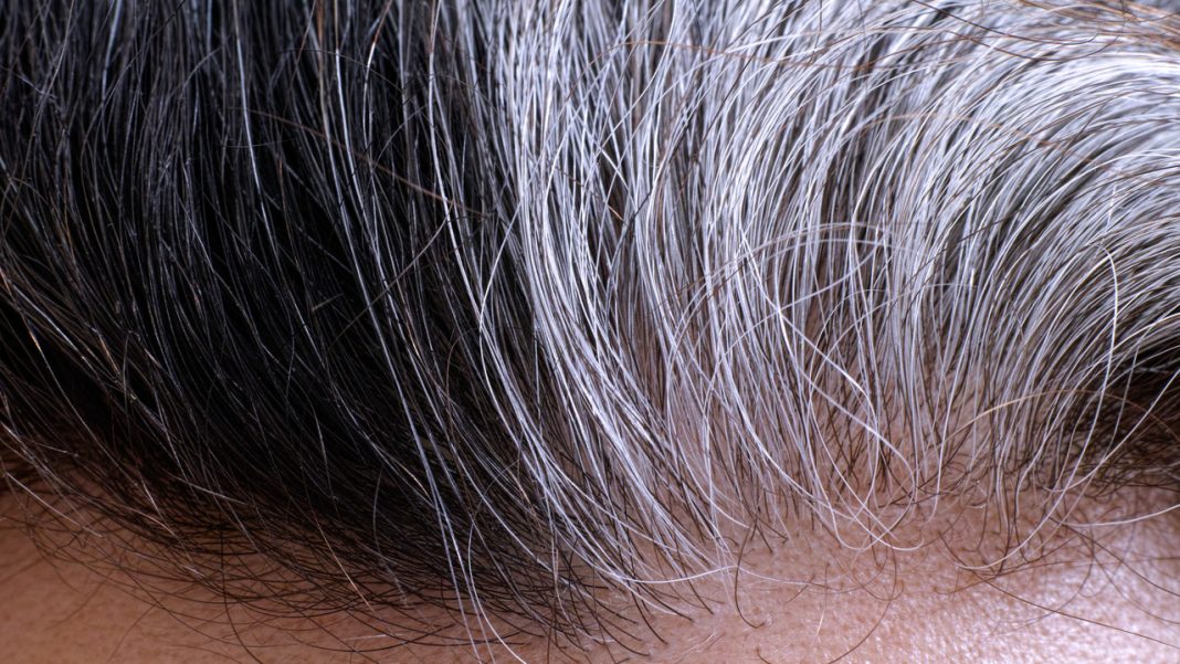 Najlepsze sposoby na siwe włosy. Te triki znały już nasze babcie