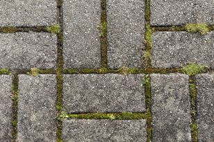 Spryskaj kostkę przed zimą. Mech zniknie w mgnieniu oka