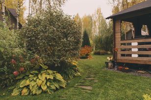 Rozsyp w ogrodzie. Tak przygotujesz glebę na zimę