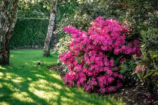Wydasz kilka złotych. Ogrodnicy zapewniają, że warto