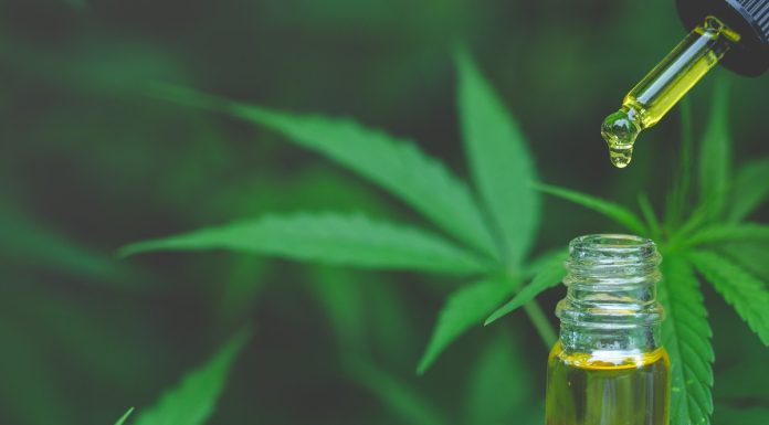 Odżywki do włosów z olejem z konopi. Zapomnij o wypadaniu kosmyków