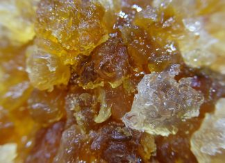 Azjatki za nią szaleją, a kosztuje grosze. Naturalnie pobudza produkcję kolagenu