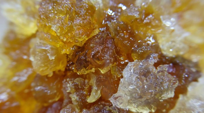 Azjatki za nią szaleją, a kosztuje grosze. Naturalnie pobudza produkcję kolagenu