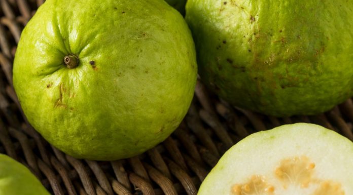 Ten owoc zawiera najwięcej białka. Syci na długo i reguluje poziom cukru