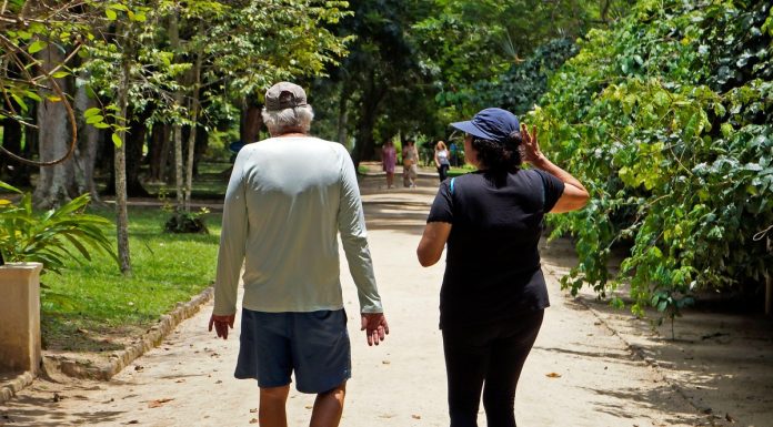 Jak pięć minut spaceru wpływa na nasz mózg? Oto, co mówią nowe badania