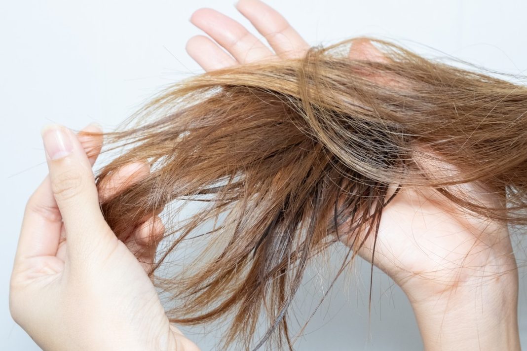 To serum reanimuje końcówki. Przełożysz wizytę u fryzjera i zapuścisz włosy